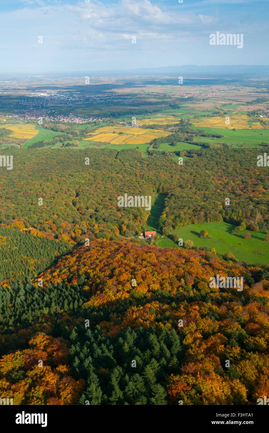 France, Bas Rhin (67), Heiligenstein, forest of Urlosenholz (aerial view)  // Bas Rhin (67), Heiligenstein, bois de Urlosenholz Stock Photo - Alamy