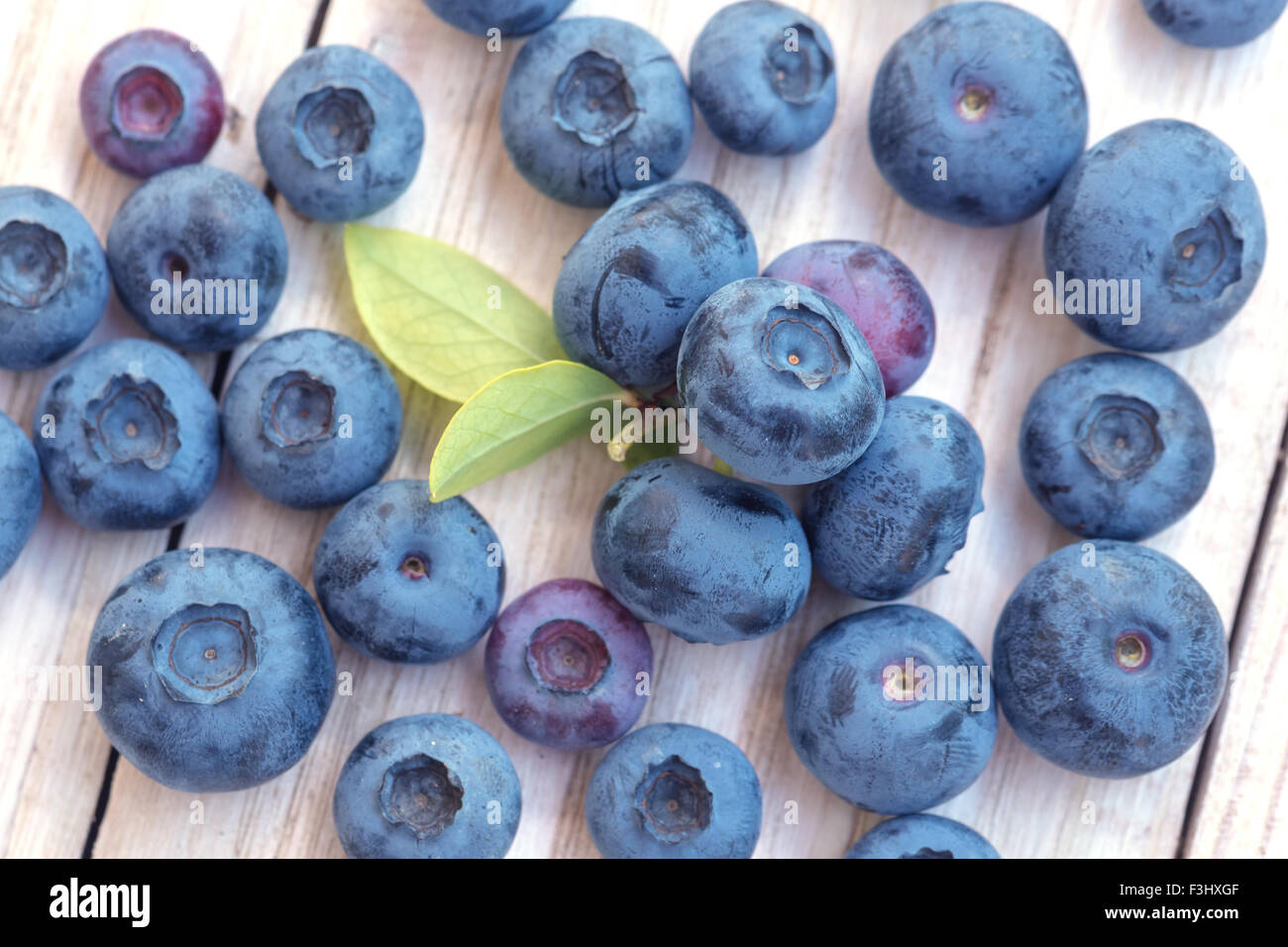 blueberry on white table closeup Stock Photo