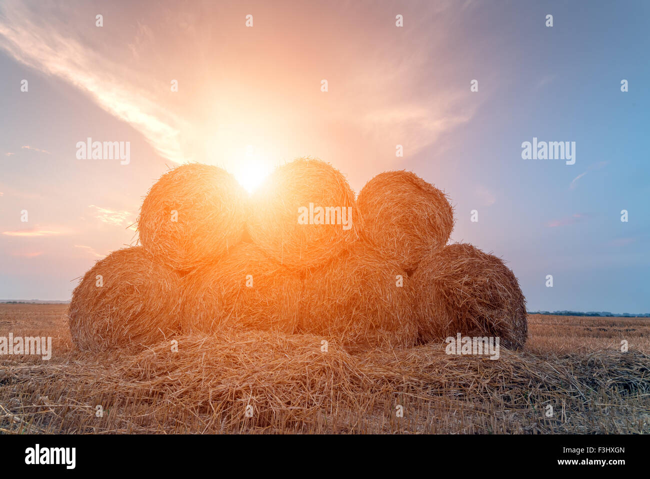 Amazing rural scene on autumn field with straw roles and dramatic evening light. Stock Photo