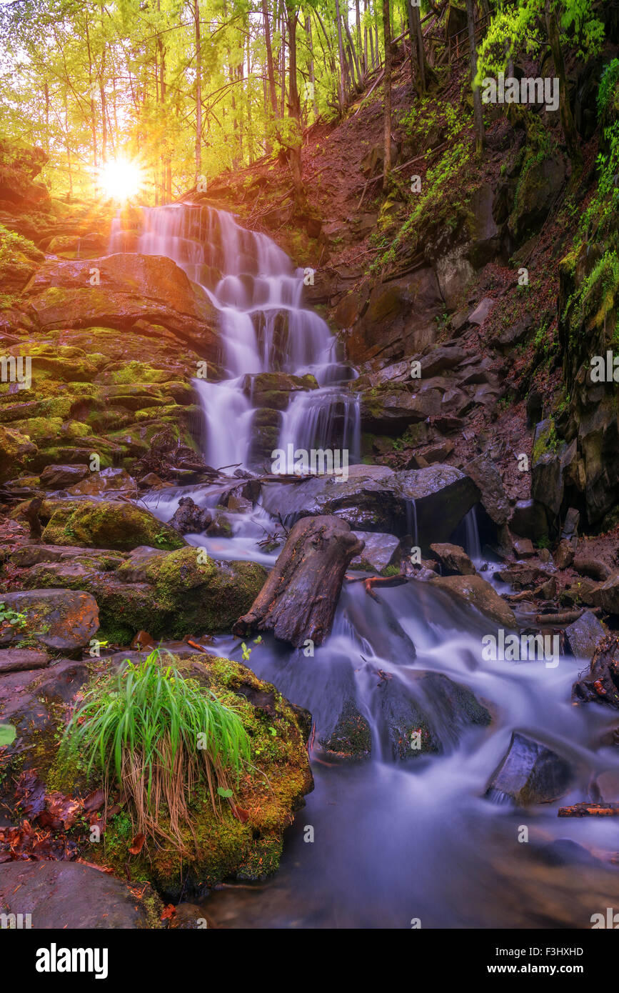 waterfall on mountain in summer time Stock Photo