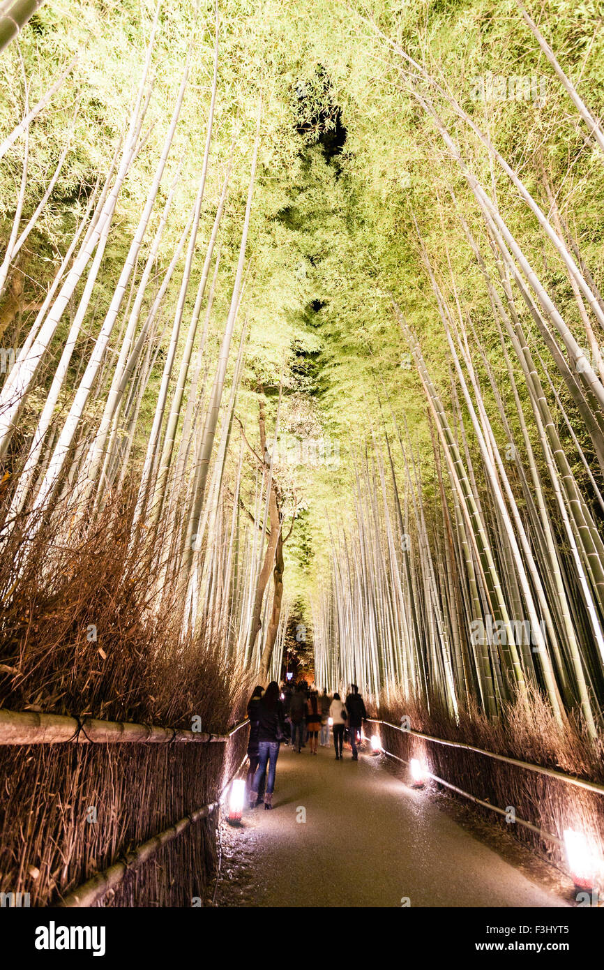 Kyoto, Arashiyama. People walking through the illuminated famous