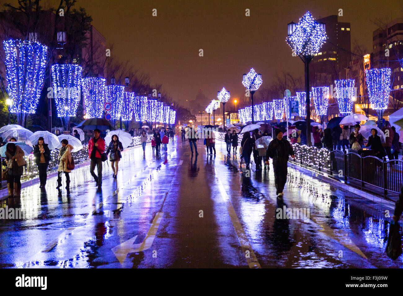 Japan, Osaka, Hikari Renaissance 2012, the Christmas lights display