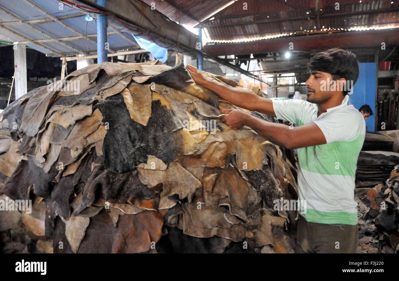 Dhaka, Bangladesh. 7th Oct, 2015. A man works in a leather factory at Hazaribagh in Dhaka, capital of Bangladesh, on Oct. 7, 2015. Bangladesh's tannery industry looks set to suffer a big blow as demand for finished leather and leather products in major international markets has been plunging amid grave concerns over the environmental hazard created by the country's leather industry. © Shariful Islam/Xinhua/Alamy Live News Stock Photo