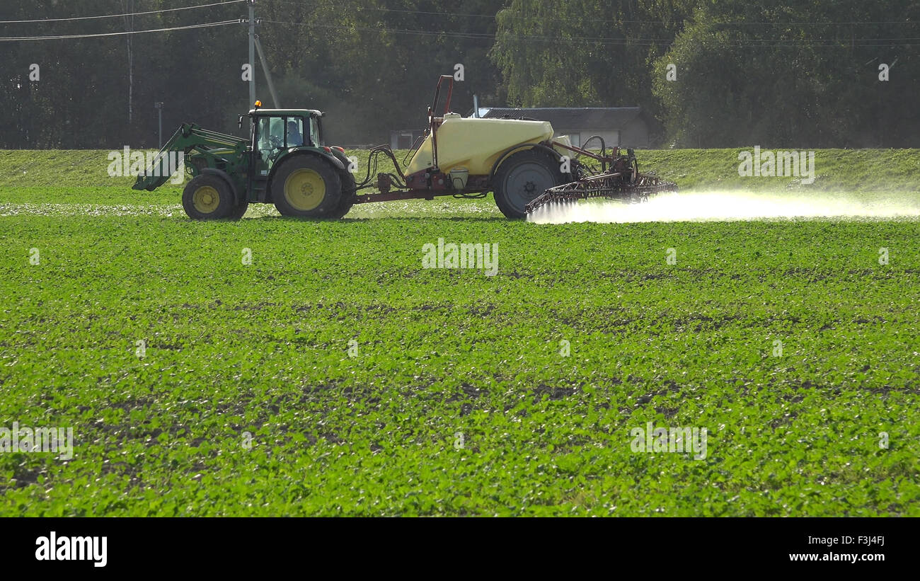 Tractor spray rape seed field with pesticide chemicals in autumn. Farmer with modern vehicle kill pests in agriculture field bef Stock Photo