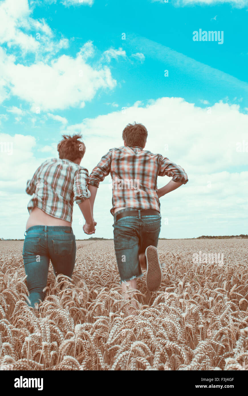 Young couple in a corn field Stock Photo - Alamy