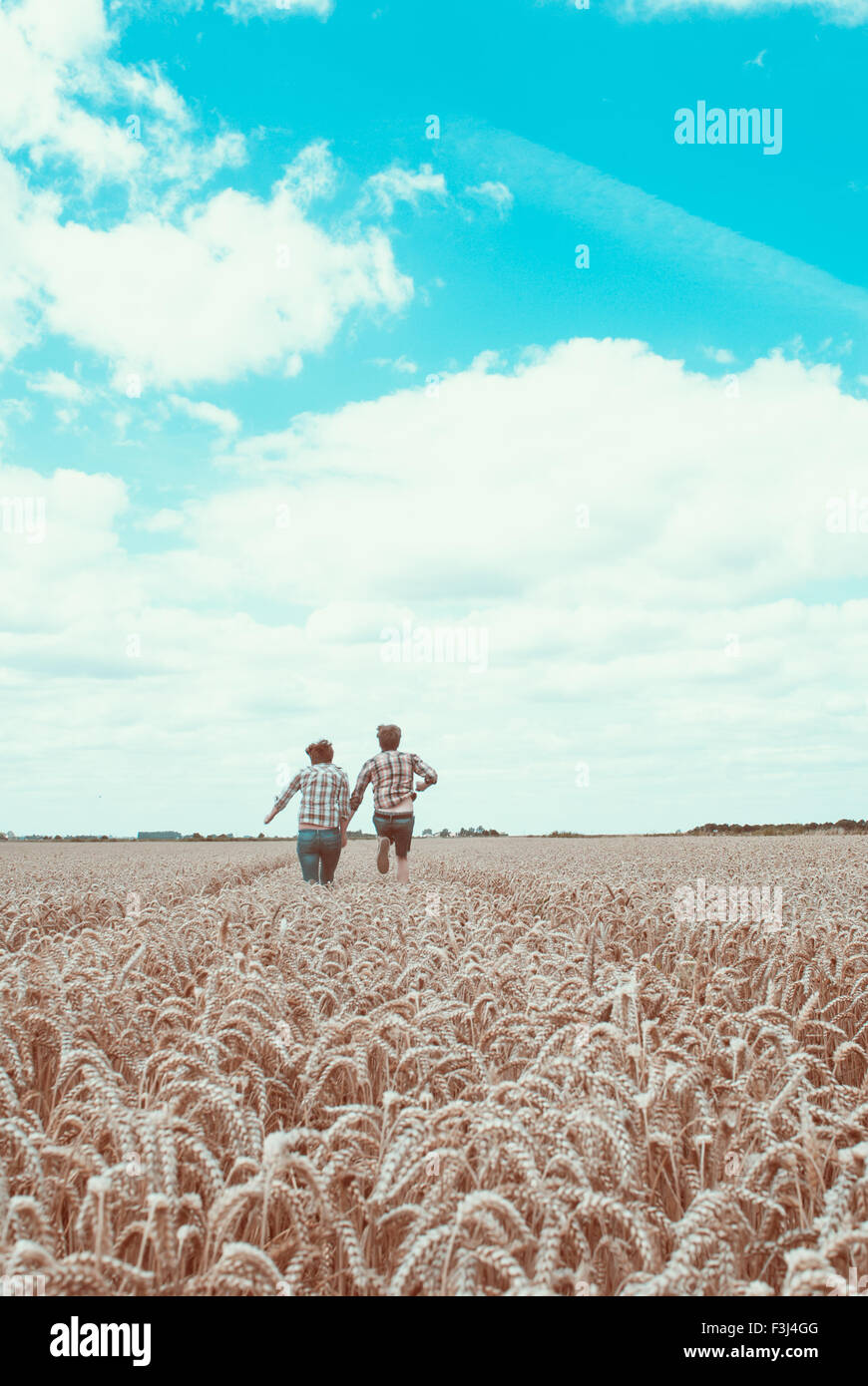 Young couple in a corn field Stock Photo - Alamy