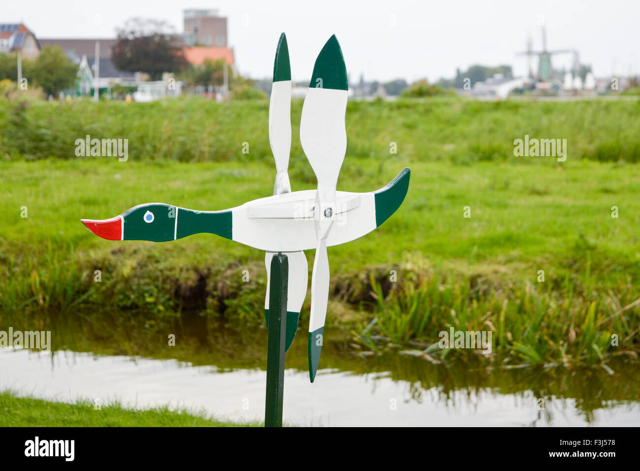 Crazy duck decoration with windmills in the background at Zaanse Schans, Netherlands Stock Photo
