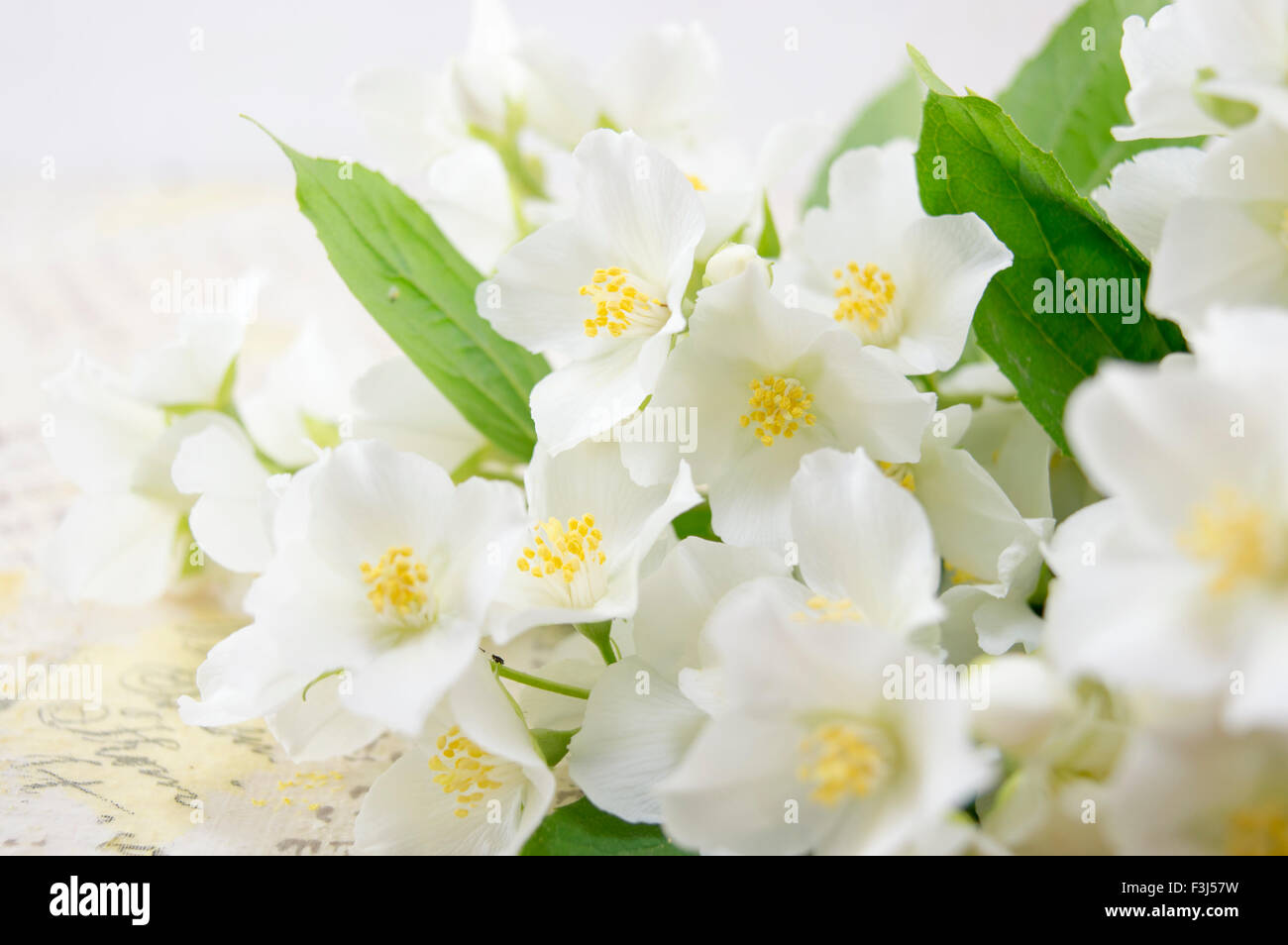 Natural fresh lily flowers on a decoupage decorated table Stock Photo
