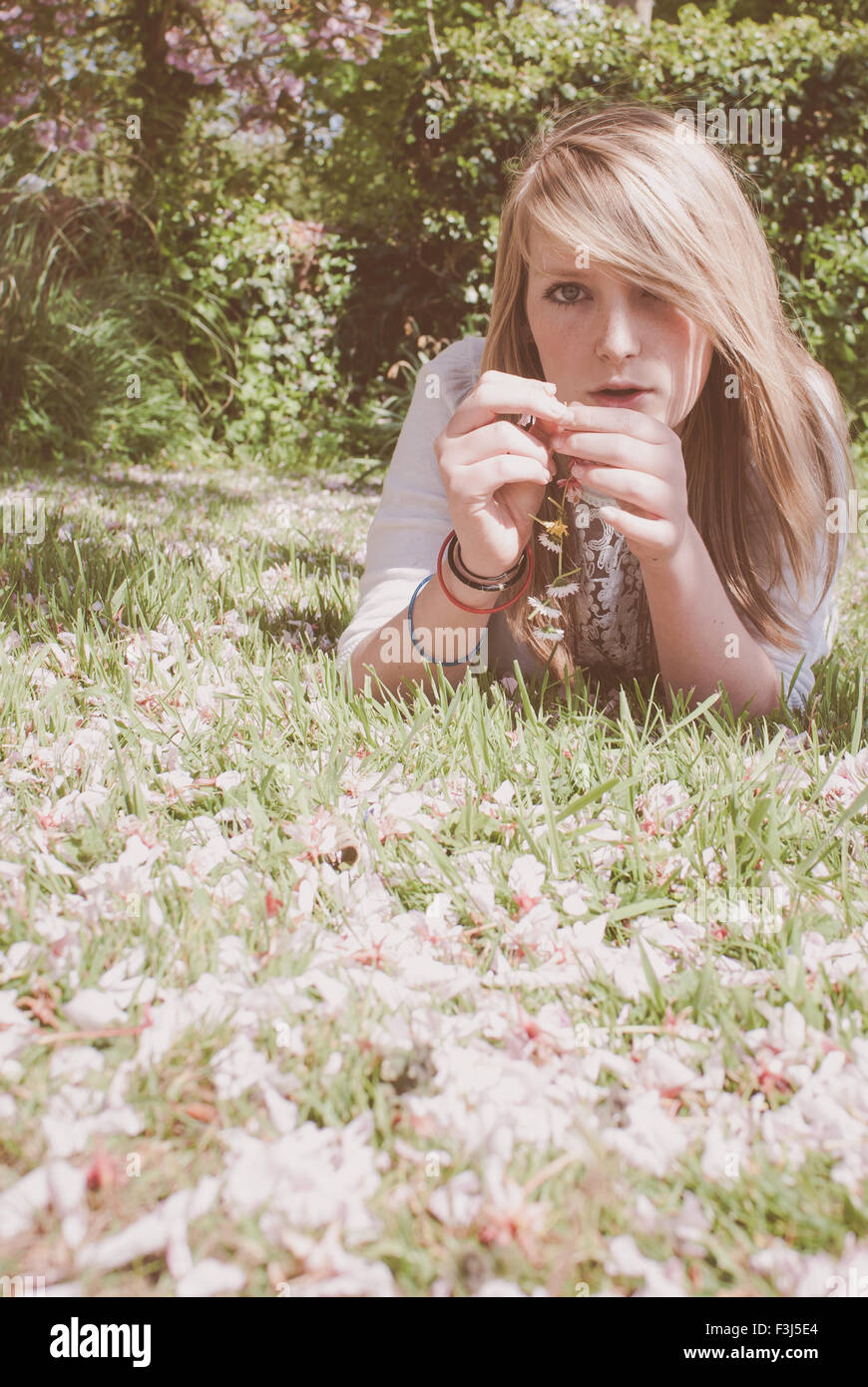 Young blond teenage girl in cherry blossom Stock Photo Alamy