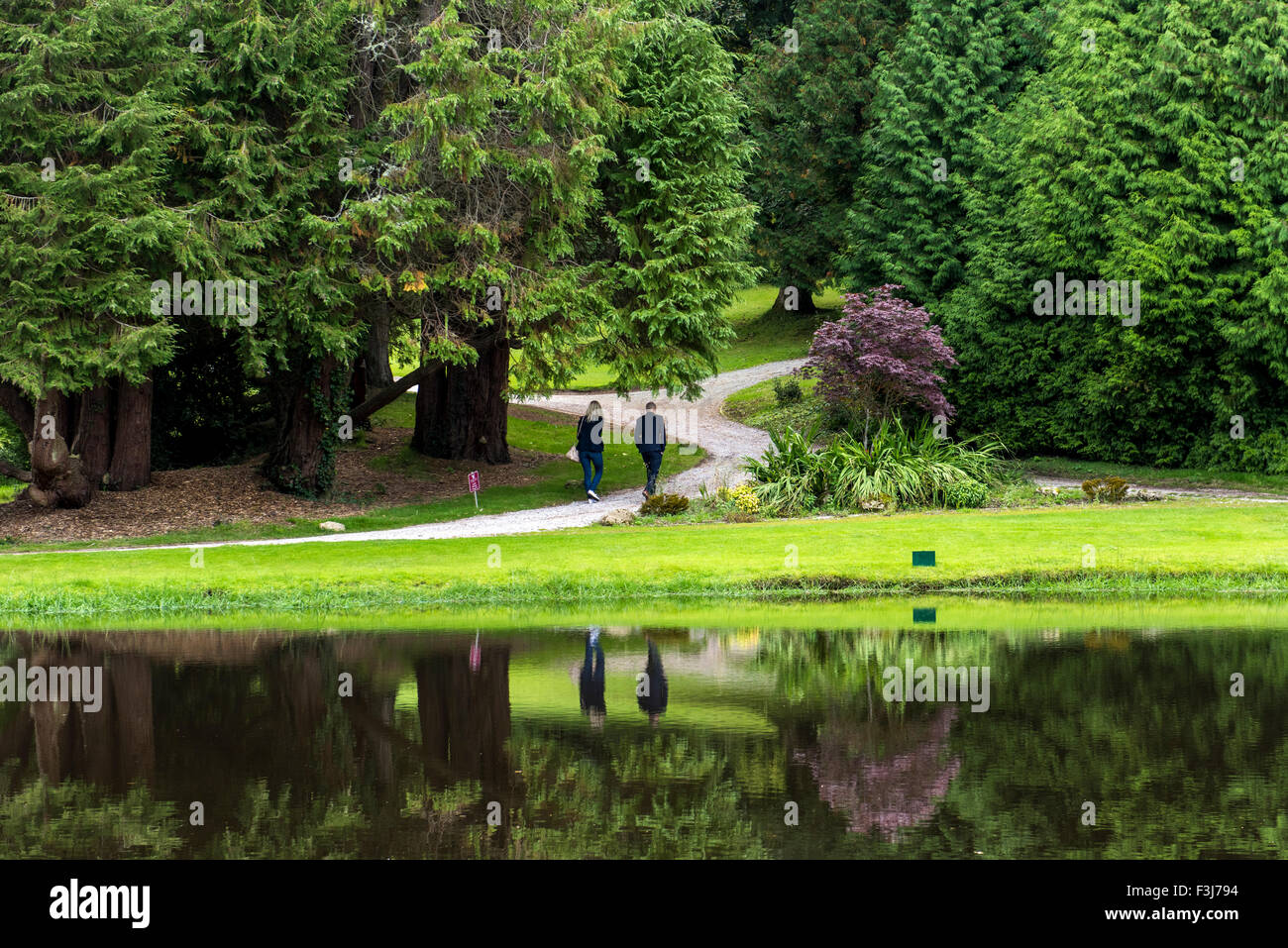 Couple walking under tree hi-res stock photography and images - Alamy