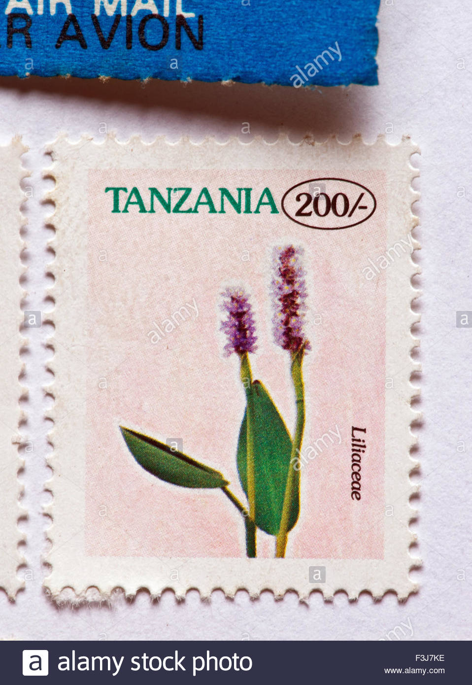 Postage Stamp Tanzania Stock Photos & Postage Stamp Tanzania Stock