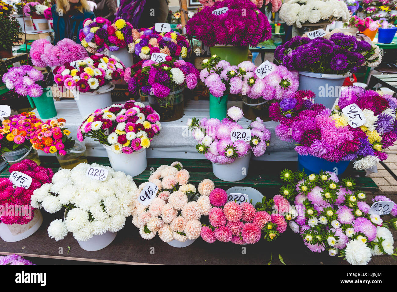 Flower market in Riga, Latvia Stock Photo Alamy