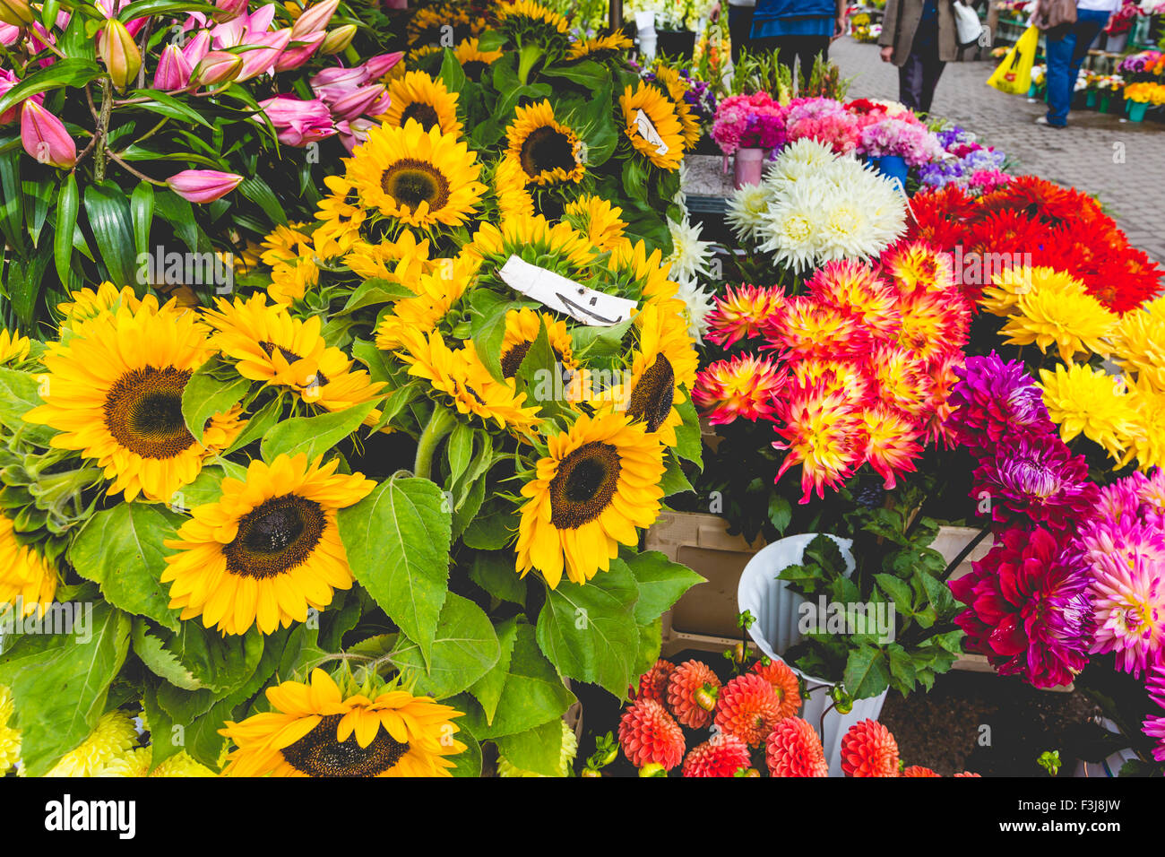 Flower market in Riga, Latvia Stock Photo Alamy