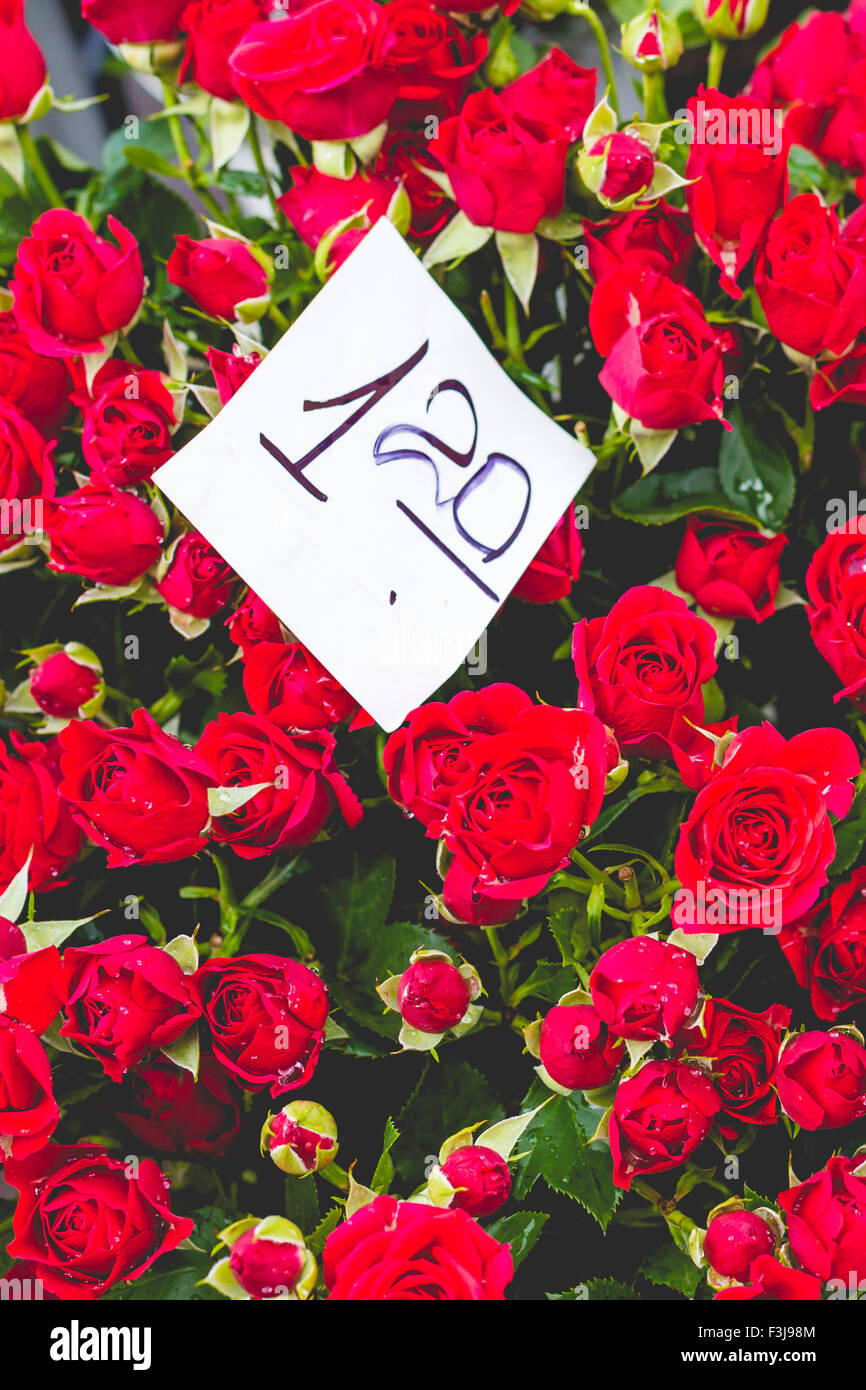 Flower market in Riga, Latvia Stock Photo - Alamy