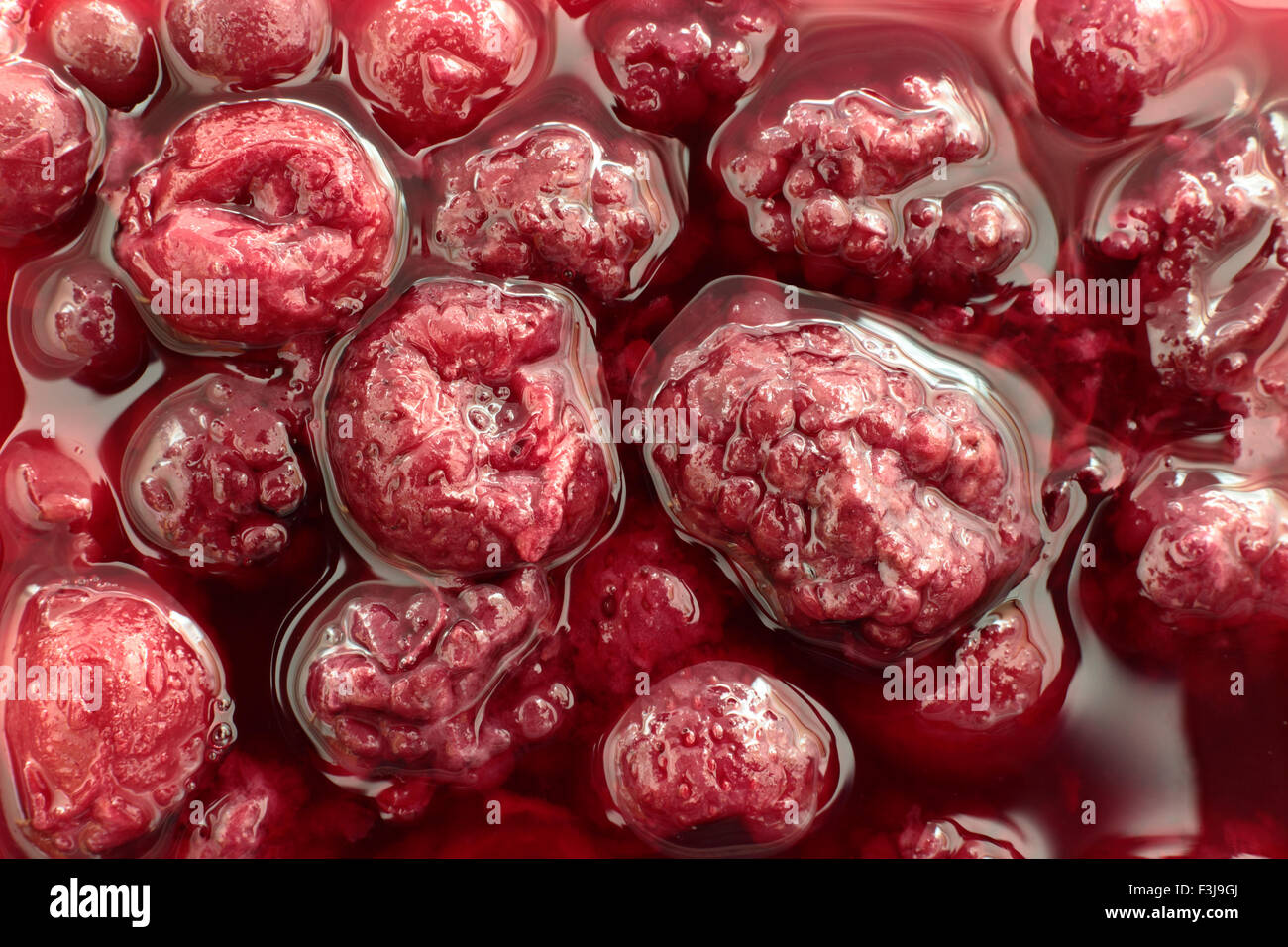 Summer fruits in a light syrup. Served from a can. Stock Photo