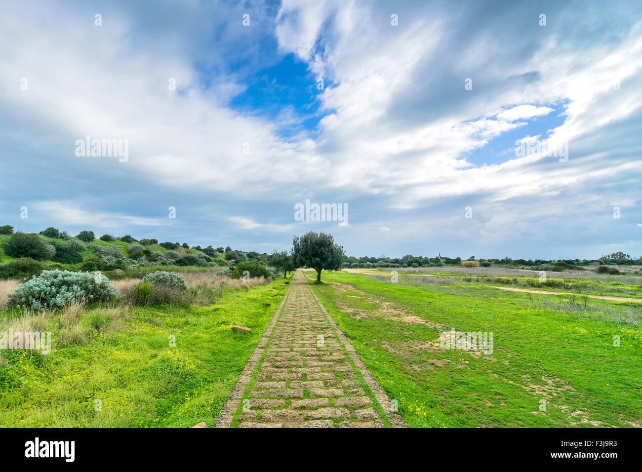 Landscape in Selinunte archaeological area, Sicily Stock Photo