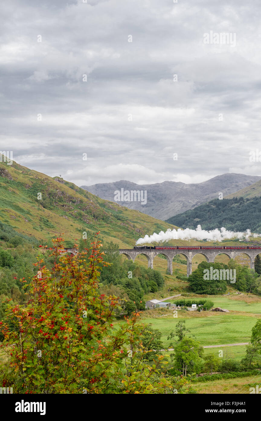 Harry Potter steam train on the Glenfinnan viaduct in Scotland. Stock Photo