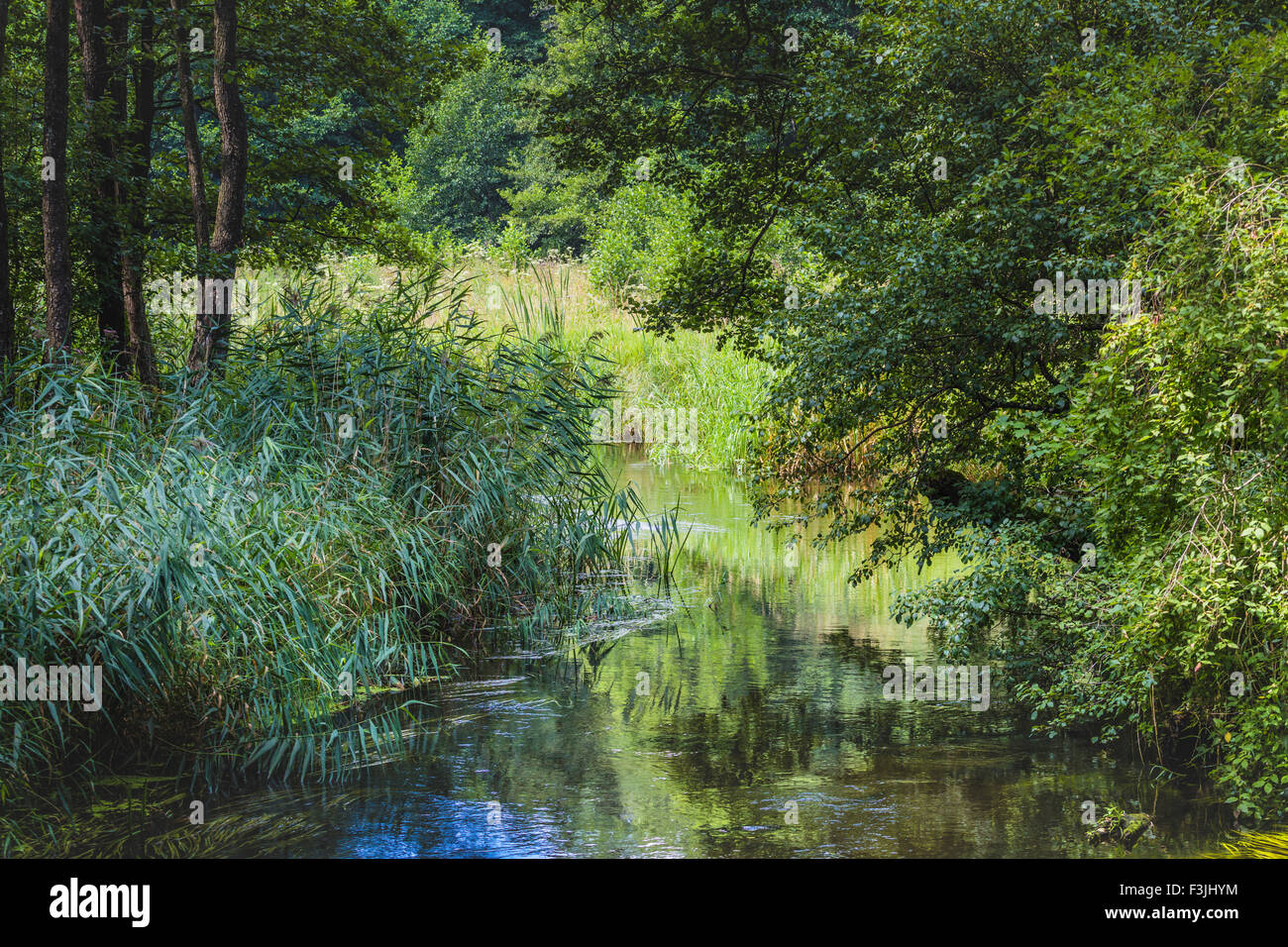 Black River Hancza. Suwalsczyzna. Poland Stock Photo