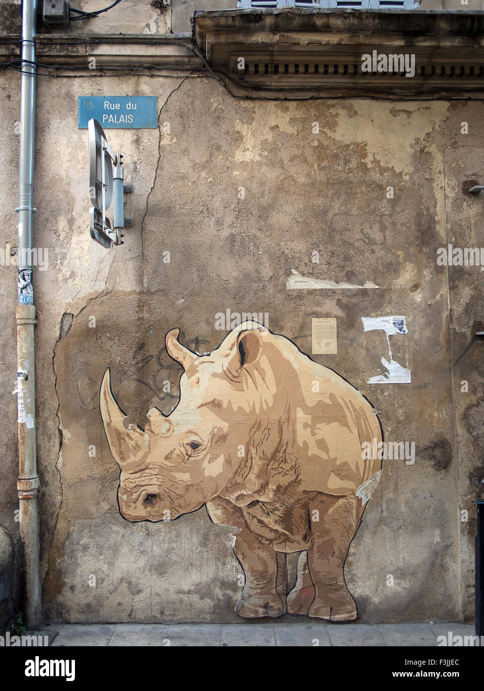 A rhinoceros (white rhino) mural painted on a wall in Arles, France, next to a drainpipe.Grafitti? Steeet art? Vandalism?. Stock Photo