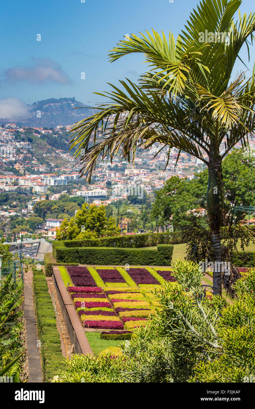 Famous Tropical Botanical Gardens in Funchal town, Madeira island