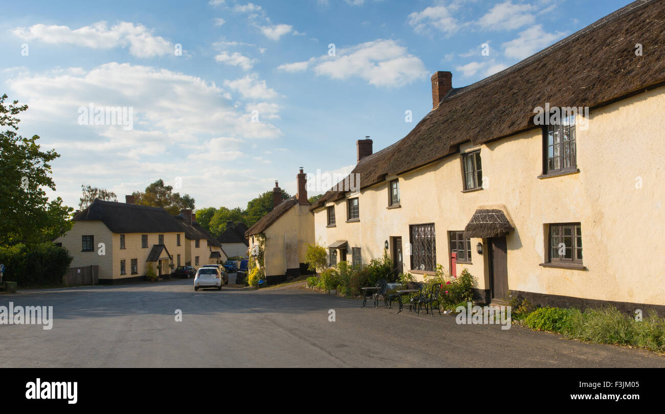 Thatched cottages in Broadhembury village East Devon England uk in the Blackdown Hills Area of Outstanding Natural Beauty Stock Photo