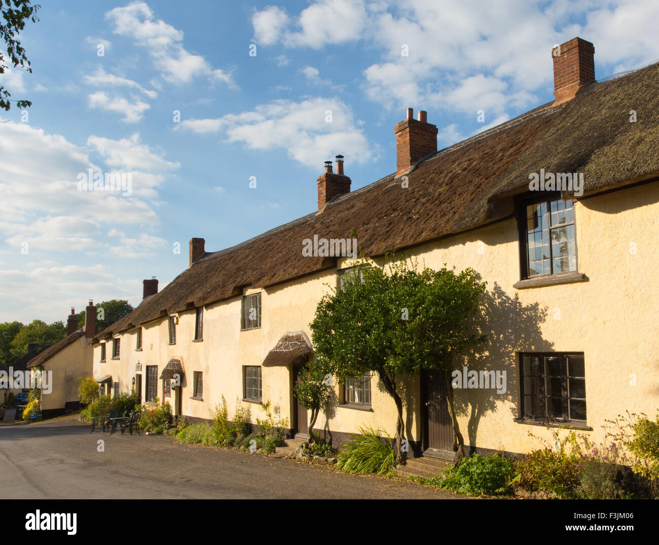 Row of Thatched cottages in Broadhembury village East Devon England uk