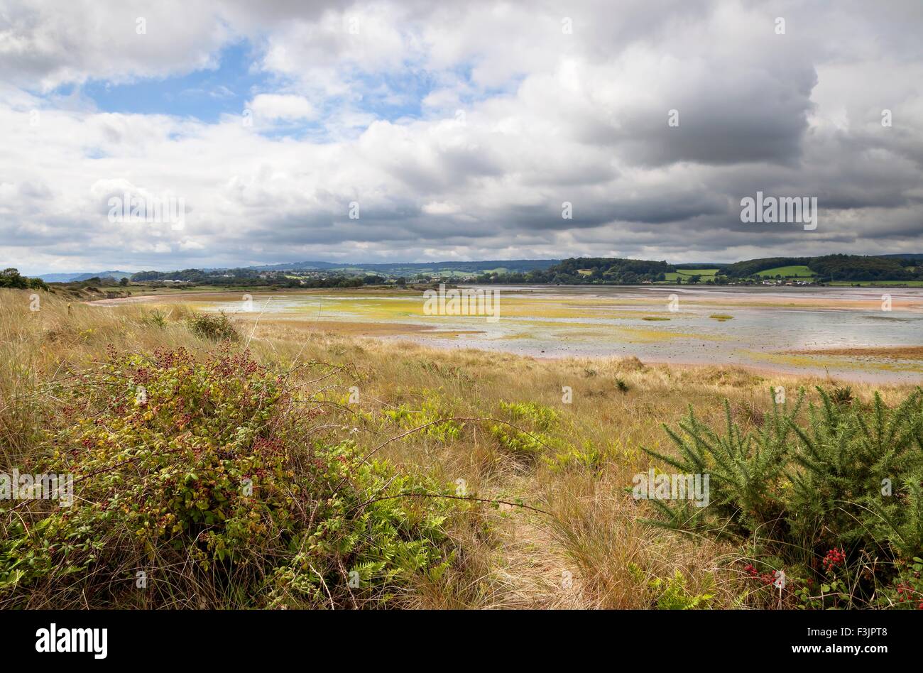 dawlish-warren-nature-reserve-devon-england-stock-photo-alamy