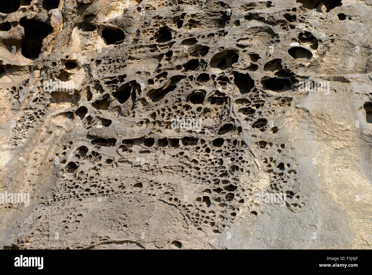 sea erosion on igneous rock at Harihareshwar Konkan Region Raigad