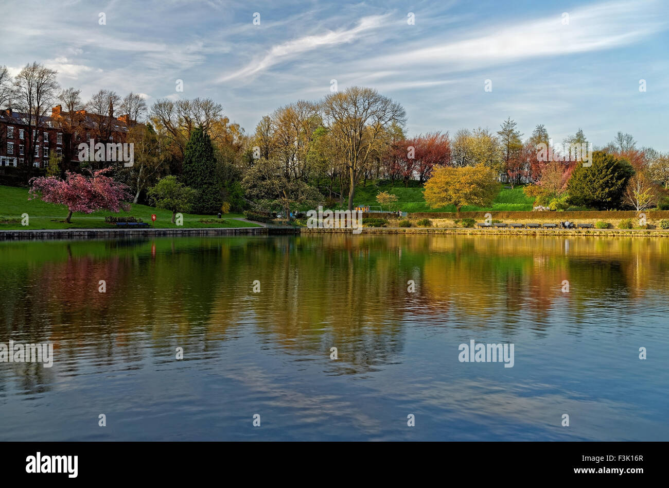 UK,South Yorkshire,Sheffield,Crookes Valley Park, Reflections of Trees & Blossom Stock Photo