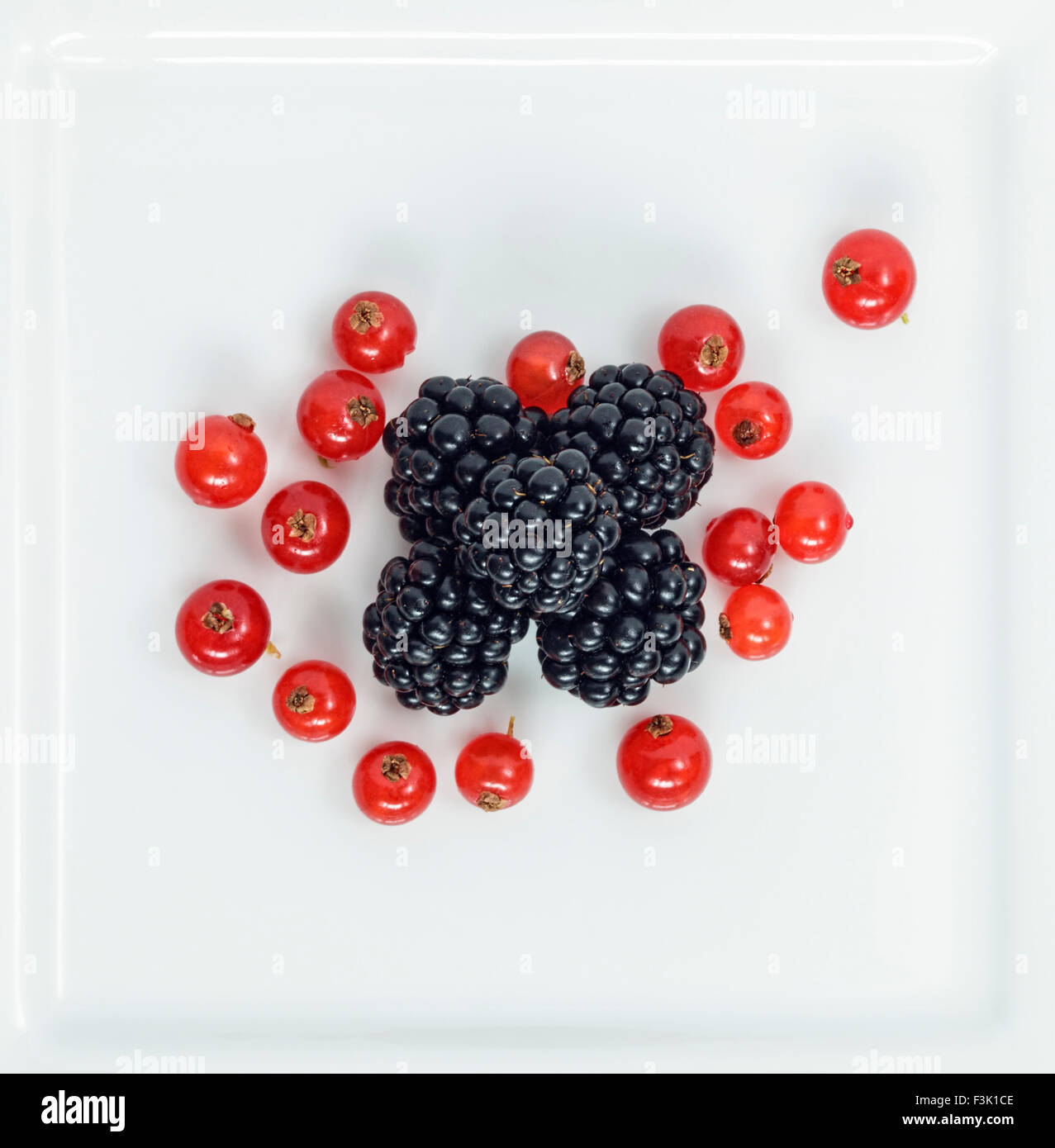 Redcurrant's and Blackberries on white square plate Stock Photo