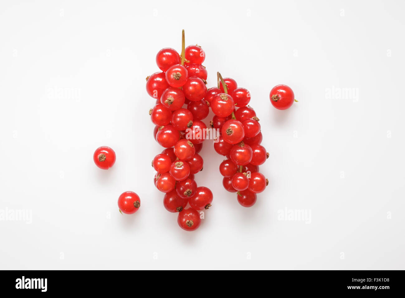 Fresh Redcurrant's Stock Photo