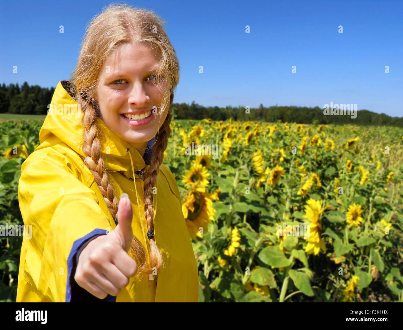 Young woman in a sunflower field with thumb up Stock Photo