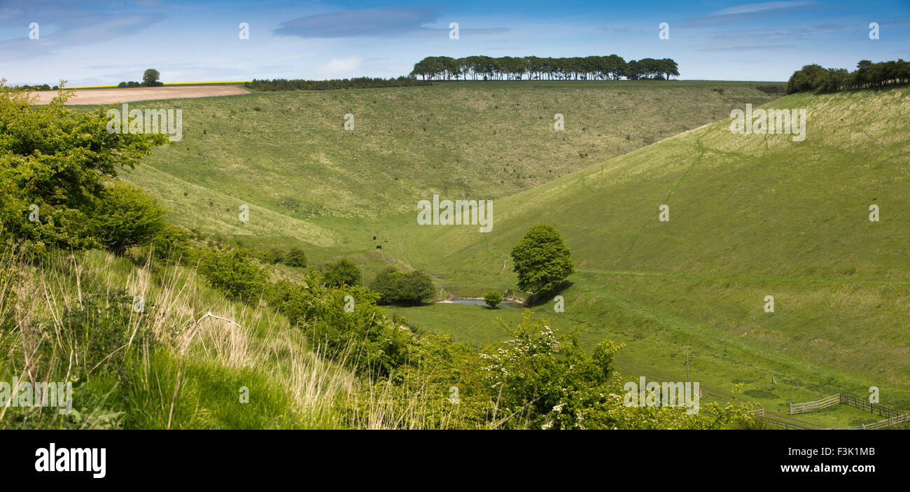UK, England, Yorkshire East Riding, Wharram Percy Wold, Kirk Hill, Fairy Dale, panoramic Stock Photo
