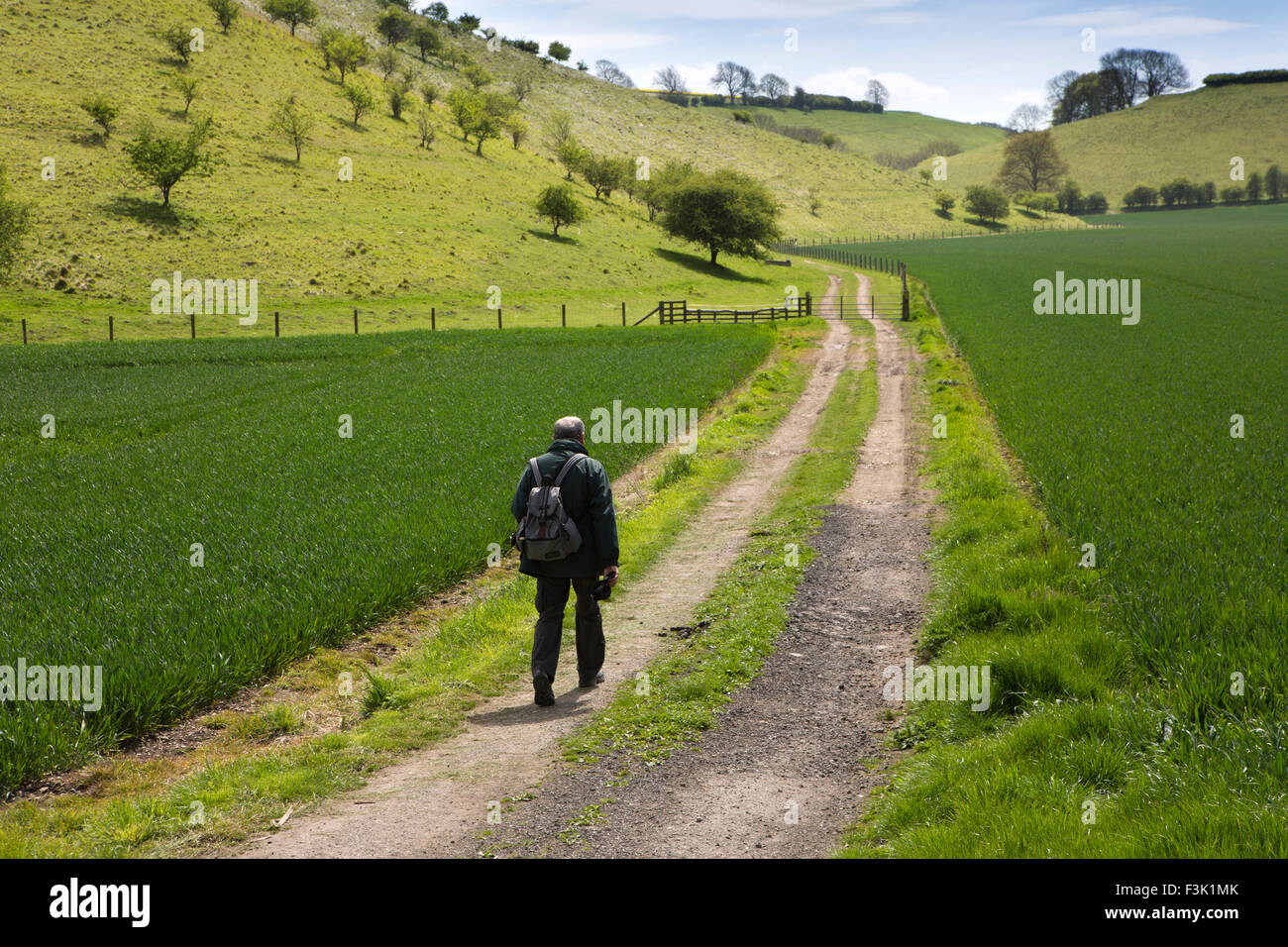 UK, England, Yorkshire East Riding, Thixendale, solo Wolds Way walker on path from Water Dale Stock Photo