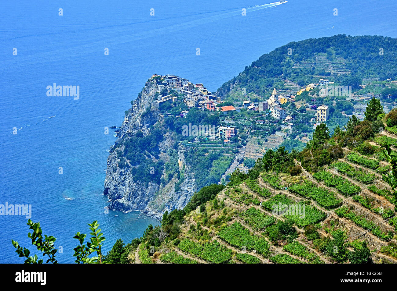Abrupt descending vineyards at Cinque Terre, Italy Stock Photo