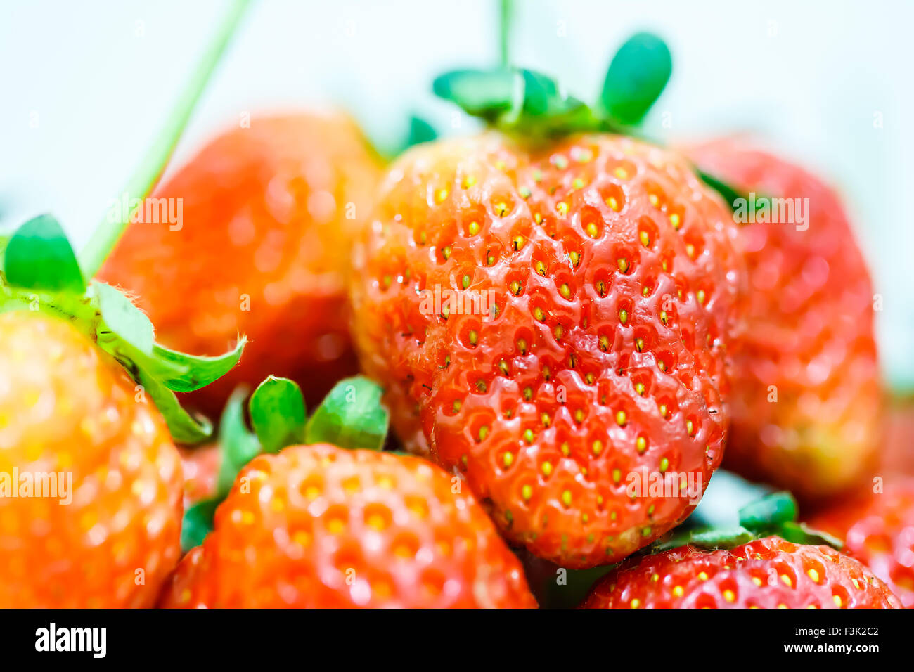 Strawberry berries on a white background Stock Photo - Alamy