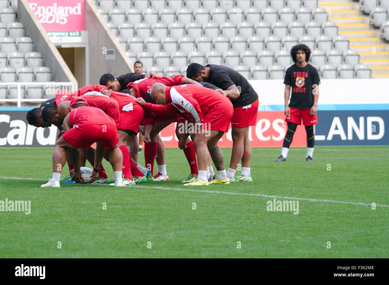 Newcastle upon Tyne, UK, 8 October 2015, The Tongan rugby squad practicing during Captain’s run at St James Park prior to their match against New Zealand in the Rugby World Cup 2015, Credit: Colin Edwards/Alamy Live News Stock Photo