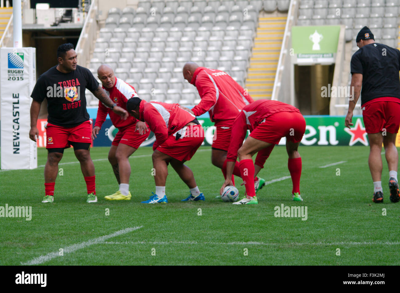 Newcastle upon Tyne, UK, 8 October 2015, The Tongan rugby squad practicing during Captain’s run at St James Park prior to their match against New Zealand in the Rugby World Cup 2015, Credit: Colin Edwards/Alamy Live News Stock Photo