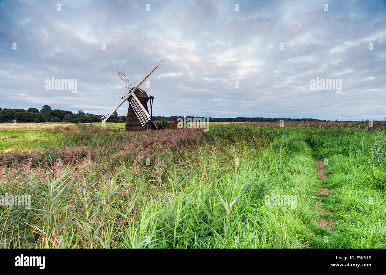 Dusk at Herringfleet Windmill in Suffolk Stock Photo - Alamy