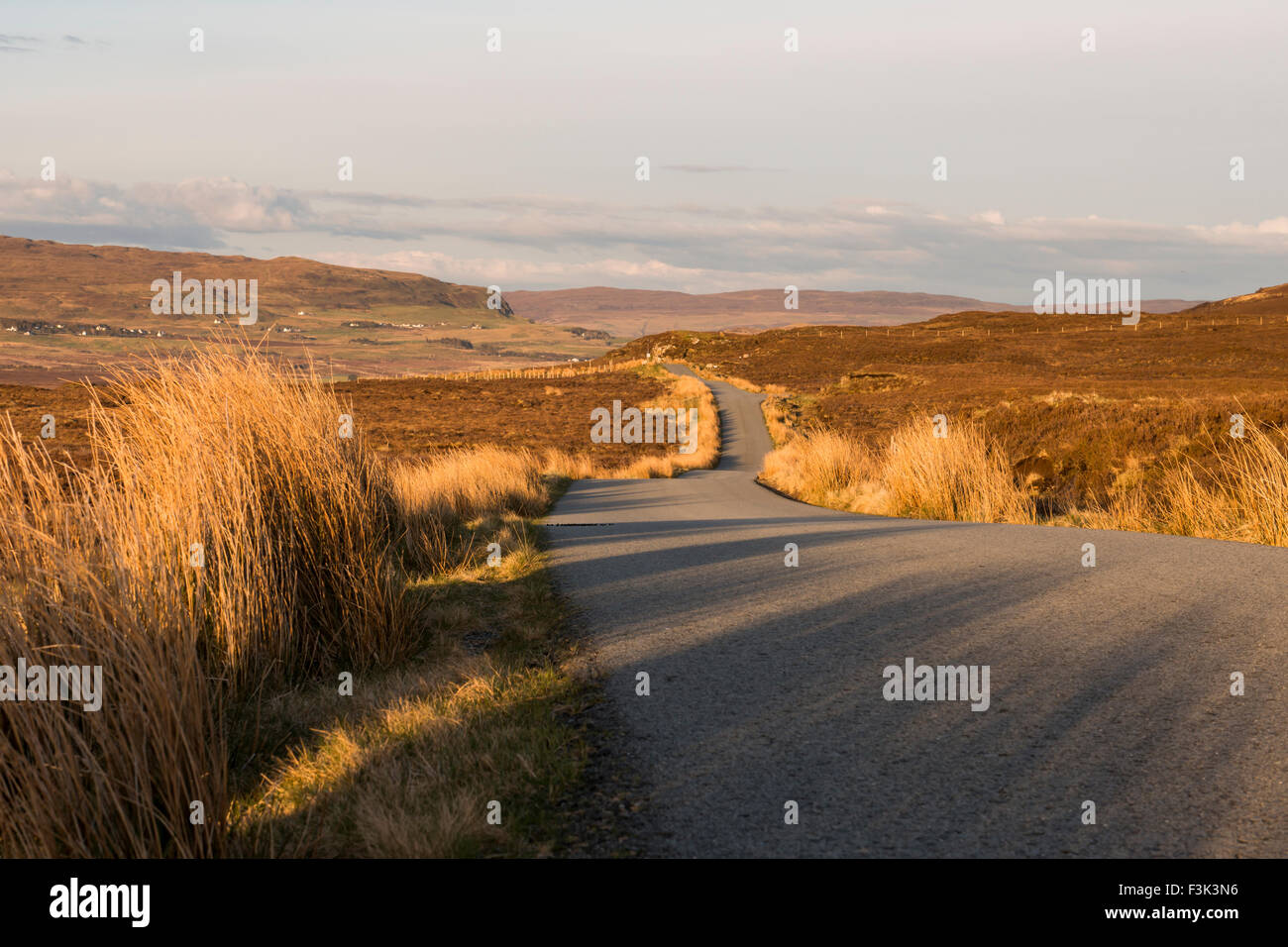 Road with Heather in the evening sun on the Isle of Skye in Scotland. Stock Photo
