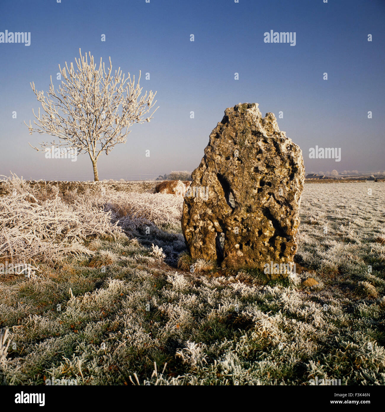Longstone standing stone in Hampton fields, near Minchinhampton