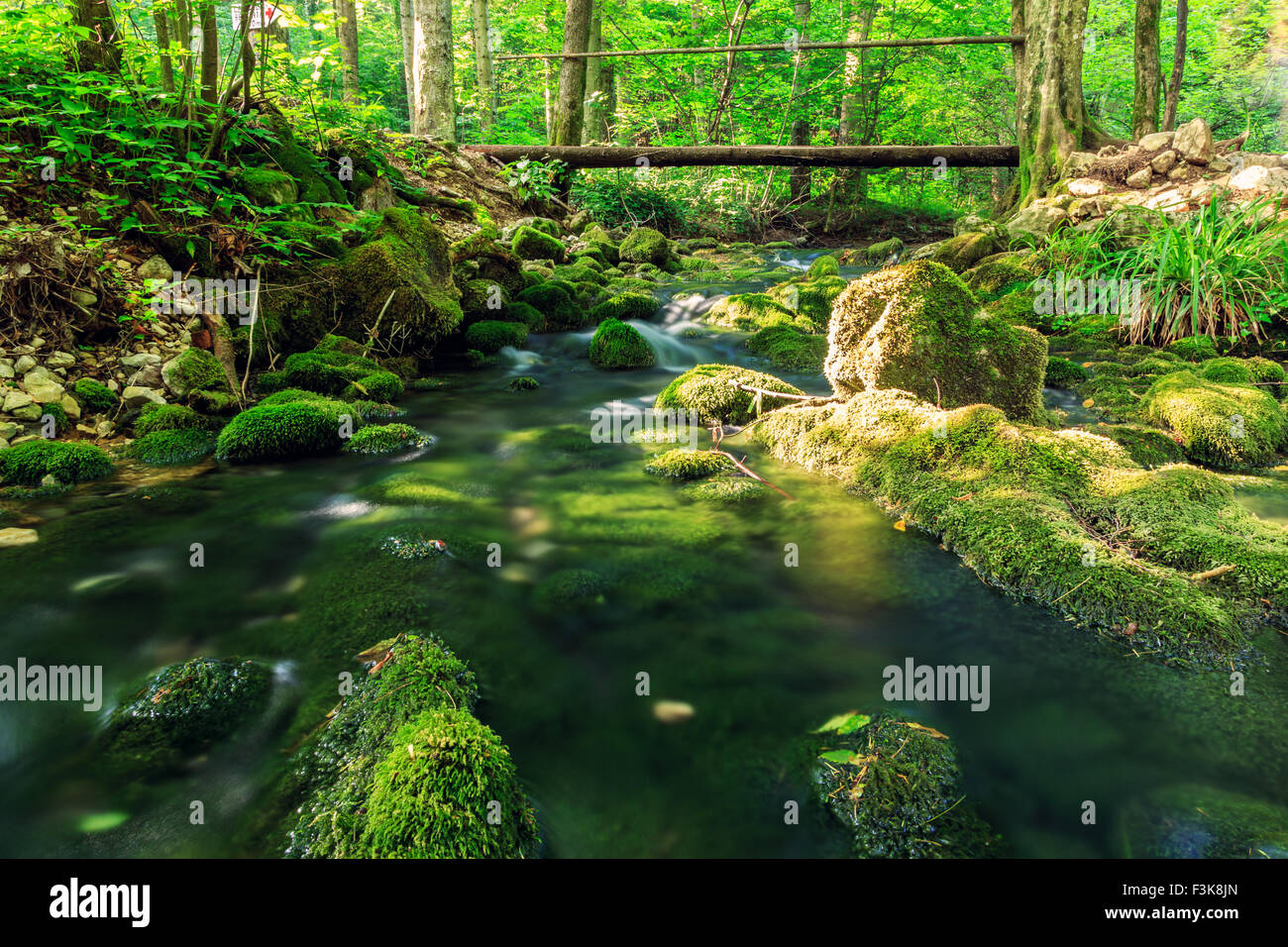 River deep in mountain forest  in Cheile Nerei national park -Romania Stock Photo