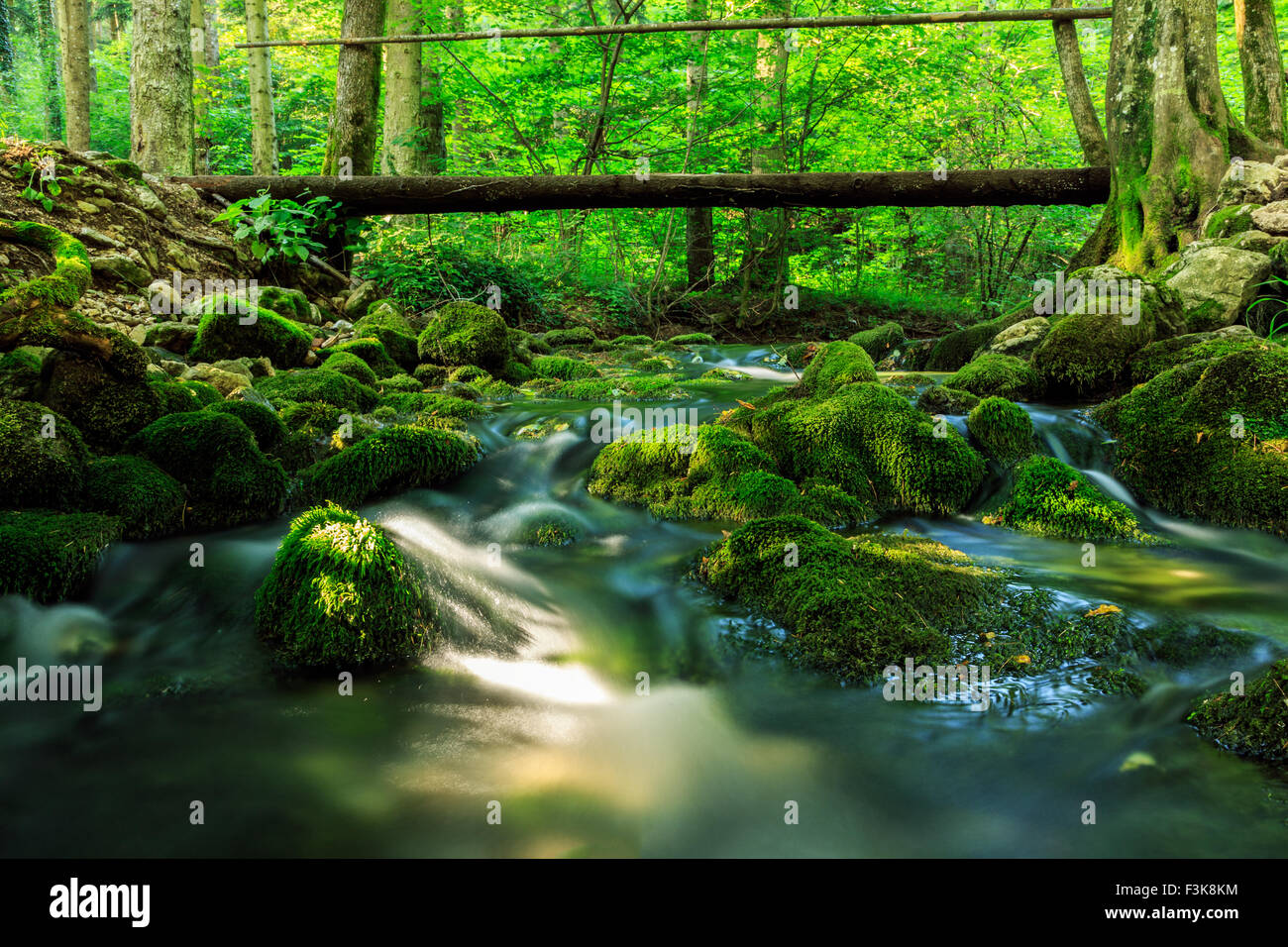 River deep in mountain forest  in Cheile Nerei national park -Romania Stock Photo