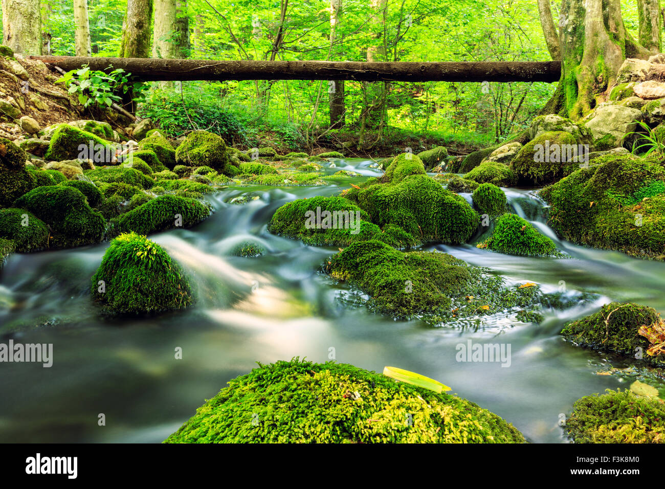 River deep in mountain forest  in Cheile Nerei national park -Romania Stock Photo