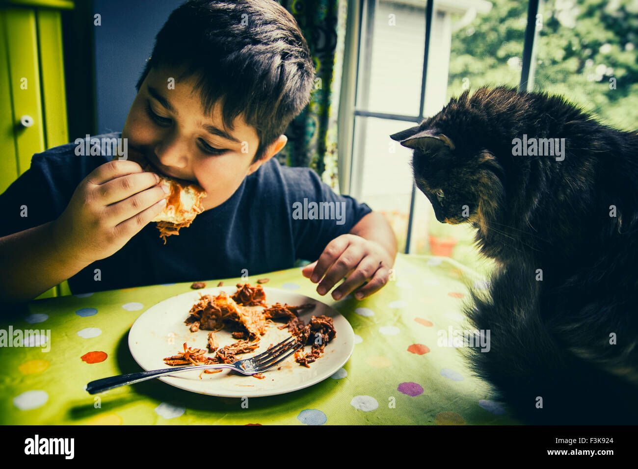 A young boy eats a BBQ sandwich as a long haired cat watches. Stock Photo