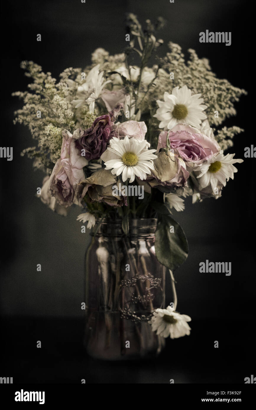 Dying flowers hires stock photography and images Alamy