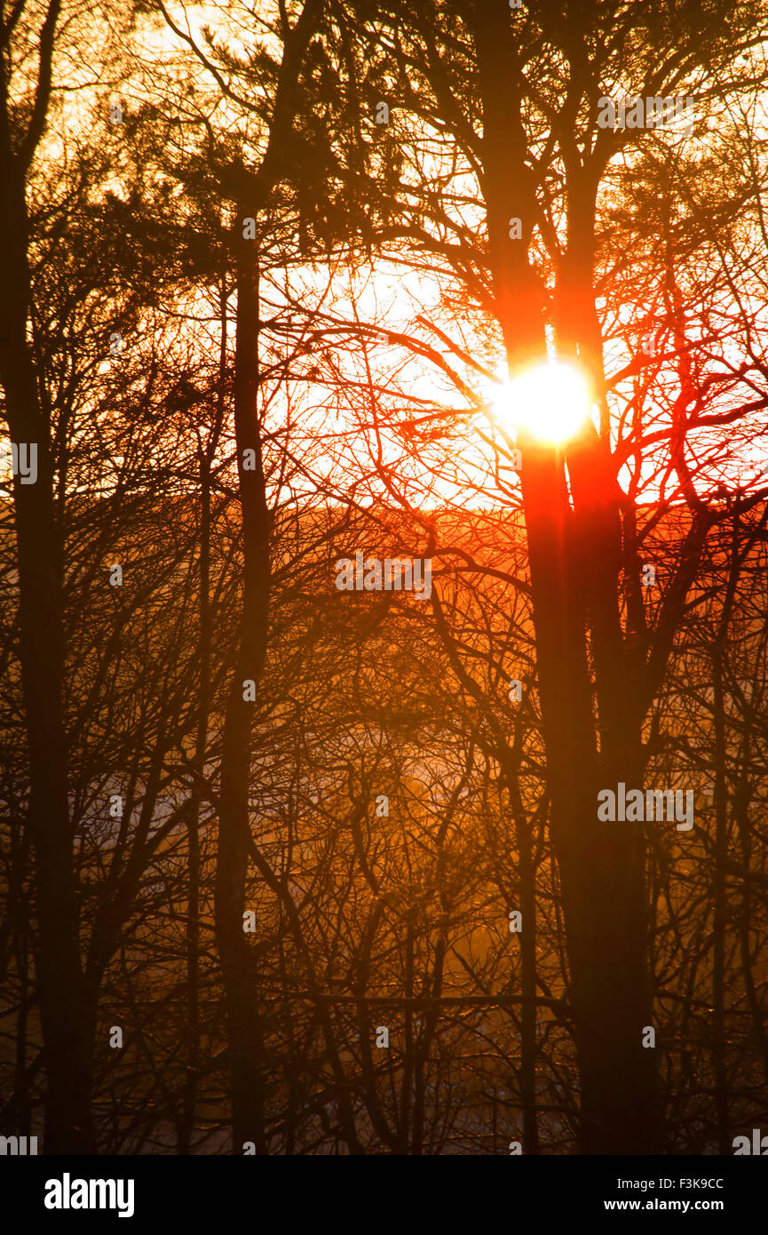 Sunset on a snowy day Stock Photo