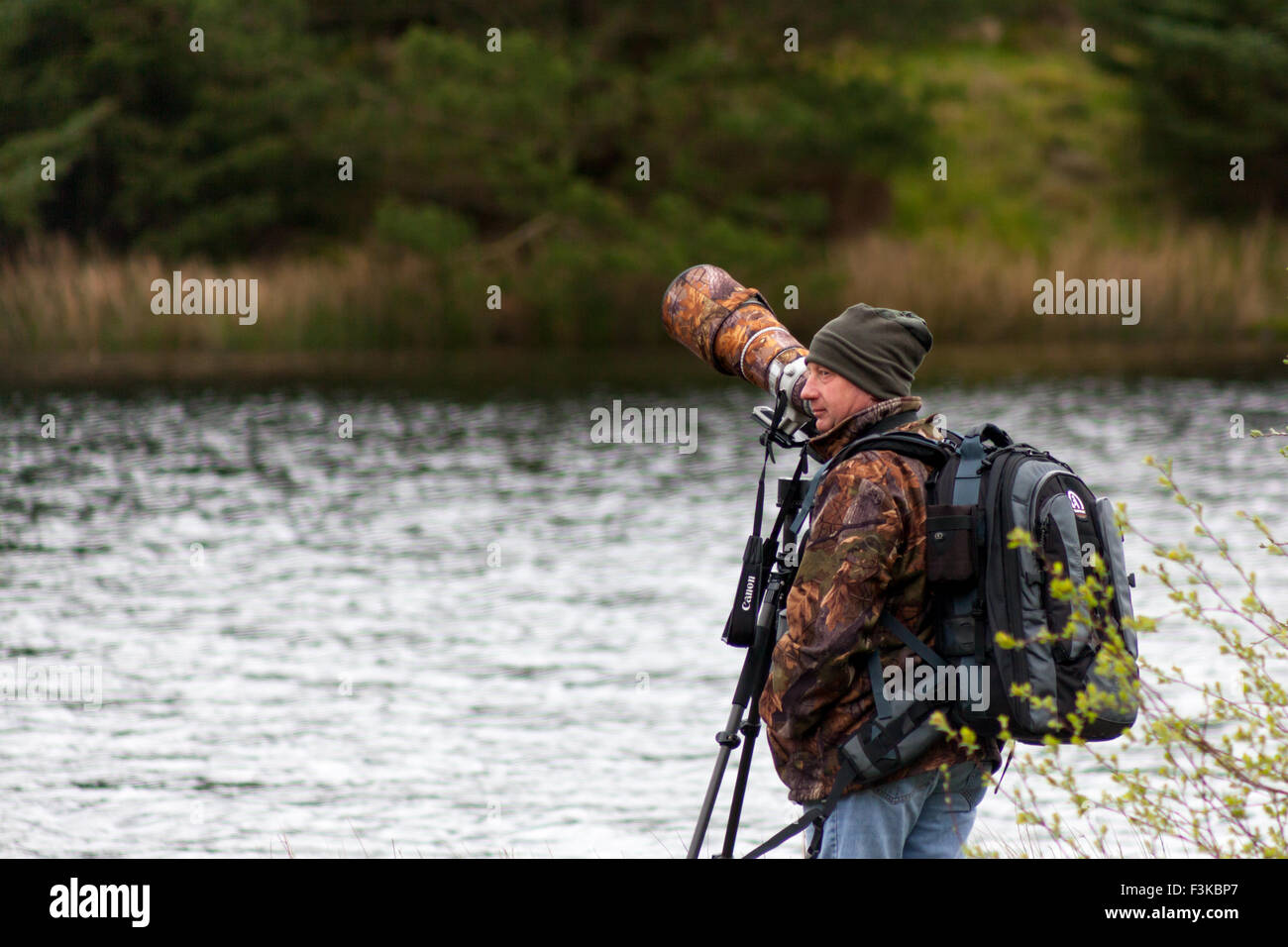 Bird watcher with big lens Stock Photo