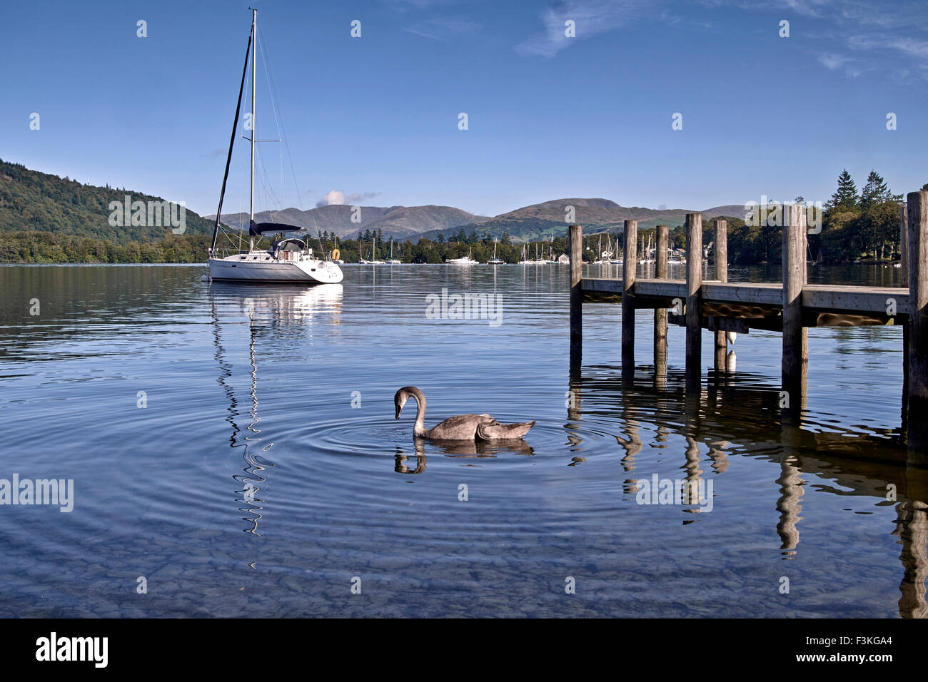 Lake Windermere Cumbria. Wildlife, Private mooring jetty and owners sailing yacht at Lake Windermere. Lake District Cumbria England UK Stock Photo