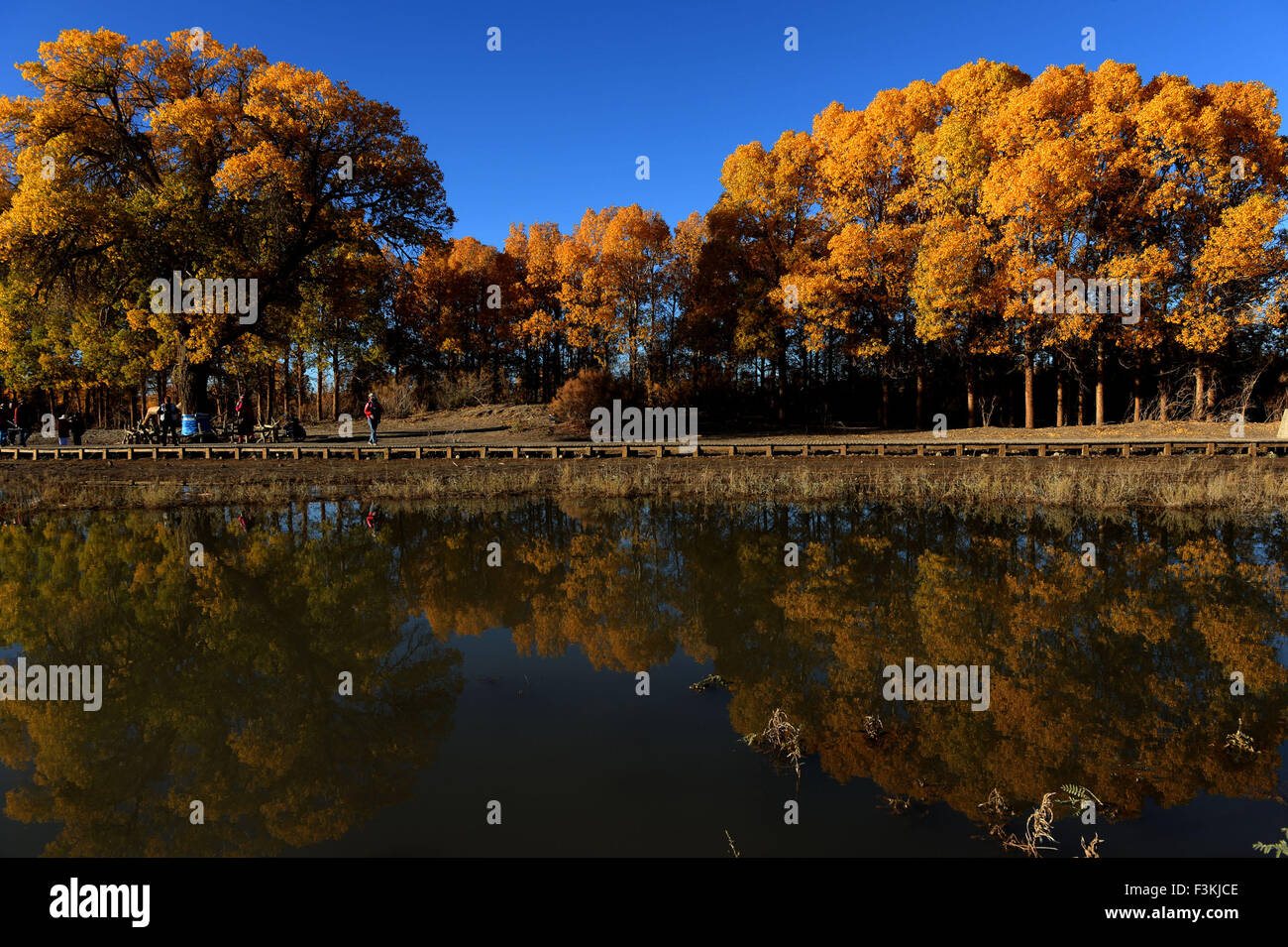 Ejina Stock Photos Ejina Stock Images Alamy